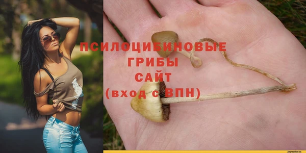 ALPHA PVP Алексеевка